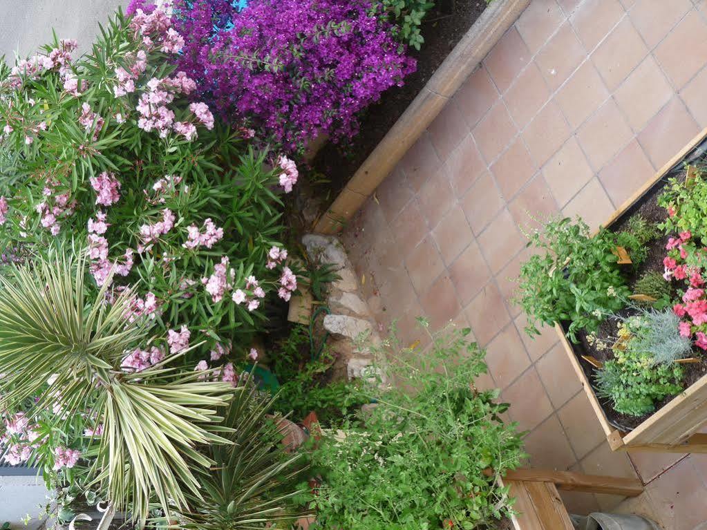 Ribes Roges